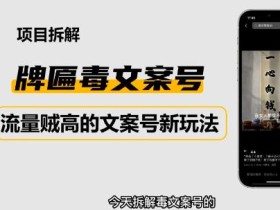 2023抖音快手毒文案新玩法,牌匾文案号,起号快易变现