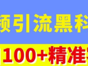 视频引流黑科技玩法,不花钱推广,视频播放量达到100万+,每日100+精准客源