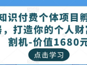 2023知识付费个体项目孵化器 打造你的个人财富收割机