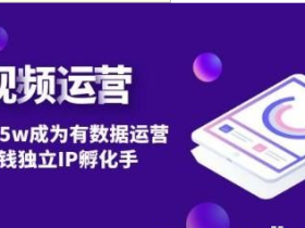 短视频自然流IP第2期:从0到月入5w成为有数据运营变现赚钱独立IP孵化手