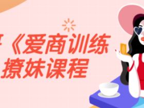 男哥《爱商训练营》撩妹课程