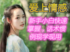 【爱上情感】《新书聊天模板》新手小白快速掌握,话术惯例现学现用