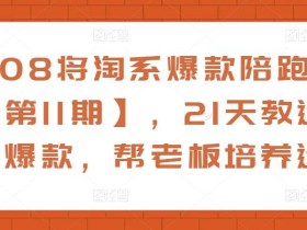 108将淘系爆款陪跑营【第11期】,21天教运营打爆款,帮老板培养运营