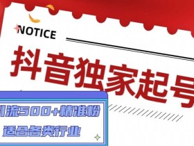 抖音独家起号,一天引流500+精准粉,适合各类行业(9节视频课)