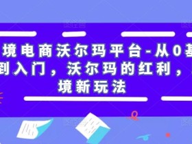 跨境电商沃尔玛平台-从0基础到入门,沃尔玛的红利,跨境新玩法