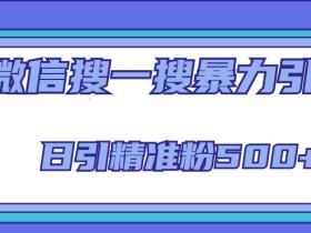 微信搜一搜引流全系列课程,日引精准粉500+(8节课)