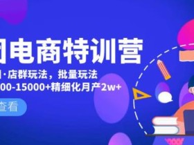 美团电商特训营:美团·店群玩法,无脑铺货月产出6000-15000+精细化月产2w+