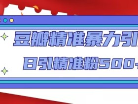 豆瓣精准暴力引流,日引精准粉500+【12课时】