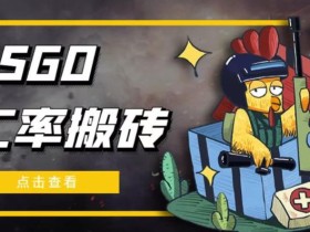 外面9800的CSGO汇率搬砖项目,一个月轻松赚几千【选品软件+详细教程