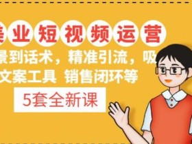 5套·美业短视频运营课从场景到话术·精准引流·吸金文案工具·销售闭环等