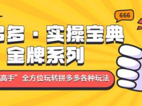 拼多多·实操宝典:金牌系列“小白到高手”带你全方位玩转拼多多各种玩法