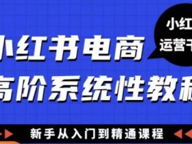 小红书电商高阶系统教程,新手从入门到精通系统课