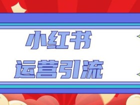 小红书运营引流全系列课程:教你养高权重新号,实操每天引流100精准粉