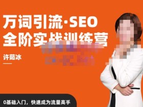 许茹冰·万词引流-SEO全阶实战训练营,0基础入门,快速成为流量高手