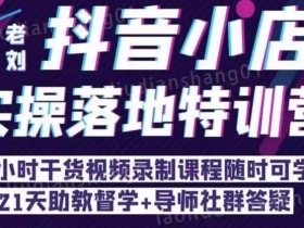 抖音小店实操落地特训营:抖音小店无货源精细化运营,抖店商品卡流量(22节)