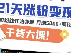 21天精准涨粉变现干货大课:从10位粉丝开始变现月增5000+变现20w+
