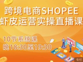 跨境电商Shopee虾皮运营实操直播课,从零开始学,入门到精通(10节系统课)