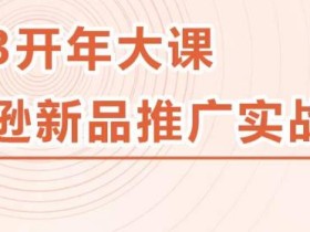 2023亚马逊新品推广实战技巧,线下百万美金课程的精简版,简单粗暴可复制,实操性强的推广手段