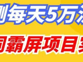 百度万词霸屏实操项目引流课,30天霸屏10万关键词