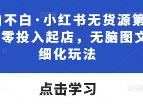绅白不白·小红书无货源第五版,零投入起店,无脑图文精细化玩法