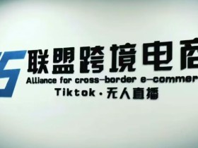 YS联盟·Tiktok无人直播,不出镜不剪辑不拍摄不发货无售后的跨境短视频躺赚玩法