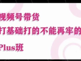 大播汇·视频号带货Puls班,视频号底层逻辑,起号自然流鱼塘等玩法