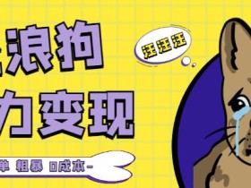 流浪狗暴力变现项目+0撸日入3000+的案例分享课【项目流程+操作详解】