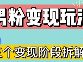 0-1快速了解男粉变现三种模式【4.0高阶玩法】直播挂课,蓝海玩法