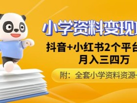 唐老师小学资料变现项目,抖音+小红书2个平台操作,月入数万元(全套资料+教程)