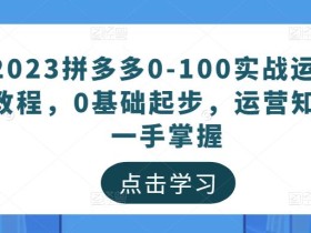 2023拼多多0-100实战运营教程,0基础起步,运营知识一手掌握