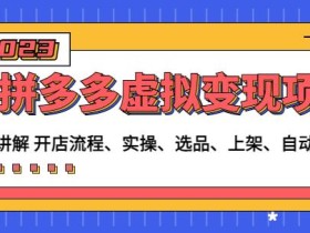程哥拼多多虚拟变现项目:讲解开店流程-实操-选品-上架-自动发货等