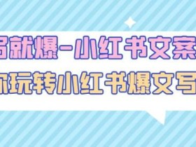 一写就爆-小红书文案课:带你玩转小红收爆文写作(45节课)