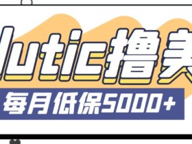 最新国外Volutic平台看邮箱赚美金项目,每月最少稳定低保5000+【详细操作教程】