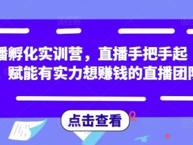 直播孵化实训营,直播手把手起号,赋能有实力想赚钱的直播团队