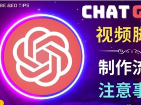 正确使用Chat GPT制作有价值的中文视频脚本,并在YouTube获利