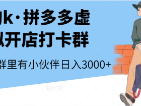 淘k·拼多多虚拟开店打卡群:一群人同行快过一个人单独摸索(昨日群里有小伙伴日入3000+)