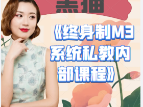 黑猫《终身制M3系统私教内部课程》