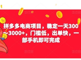 2023拼多多电商项目,稳定一天300~3000+,门槛低,出单快,一部手机即可完成