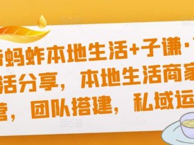 猴帝蚂蚱本地生活+子谦·本地生活分享,本地生活商家运营,团队搭建,私域运营