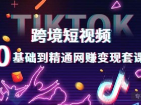 跨境短视频TIKTOK 0基础到精通网赚变现套课,跨境短视频独立站带货变现技巧