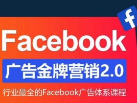 Facebook广告营销体系化教程,Facebook广告金牌营销2.0,行业最全的Facebook广告体系课程