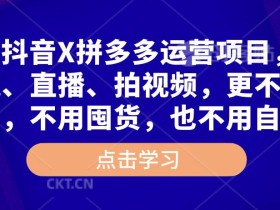 高鹏·抖音X拼多多运营项目,不需要出镜、直播、拍视频,不需要花钱推广,不用囤货,不用自己发货