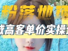 【男粉落地项目】零基础玩转男粉短视频转私域日产500+,2023男粉高客单价实操教程