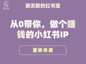 谢无敌·小红书运营大宝典,从0带你做个赚钱的小红书IP