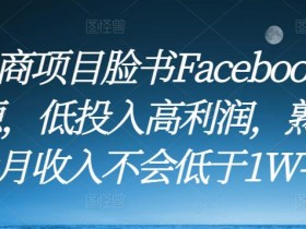 跨境电商项目脸书Facebook商城无货源,低投入高利润,熟练操作后月收入不会低于1W-3W