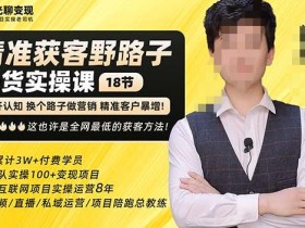 杨光·精准获客野路子,黑科技快速获取精准客户,这也许是全网最低的获客方法了