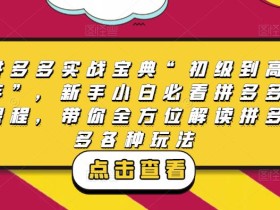 拼多多实战宝典“初级到高手”,新手小白必看拼多多课程,带你全方位解读拼多多各种玩法
