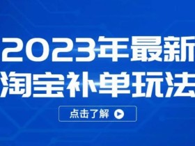 2023年最新淘宝补单玩法,18节课让教你快速起新品,安全不降权