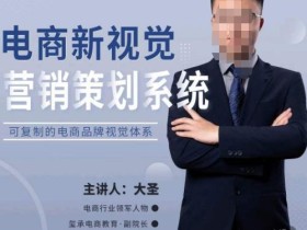 大圣·电商新视觉营销策划系统,可复制的电商品牌视觉识别系统