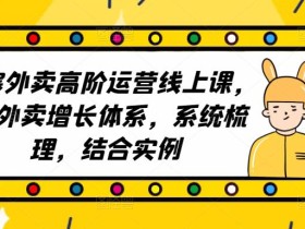 2023外卖高阶运营线上课,3V外卖增长体系,系统梳理,结合实例